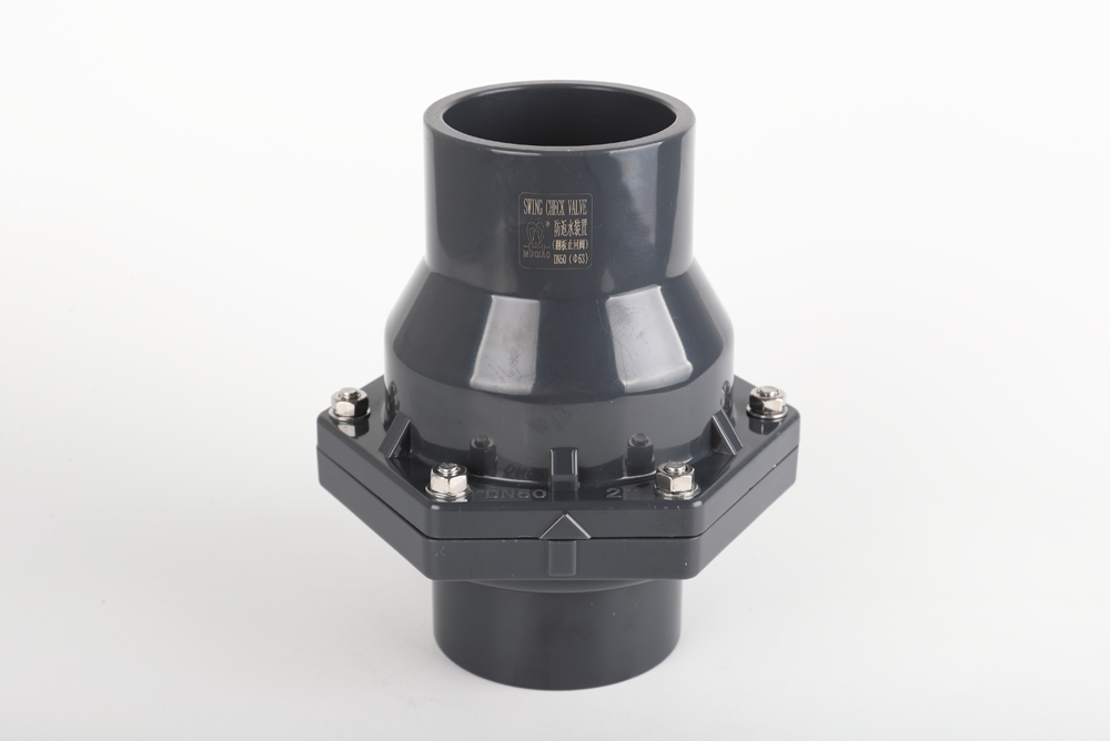 龙泉翻板式止回阀