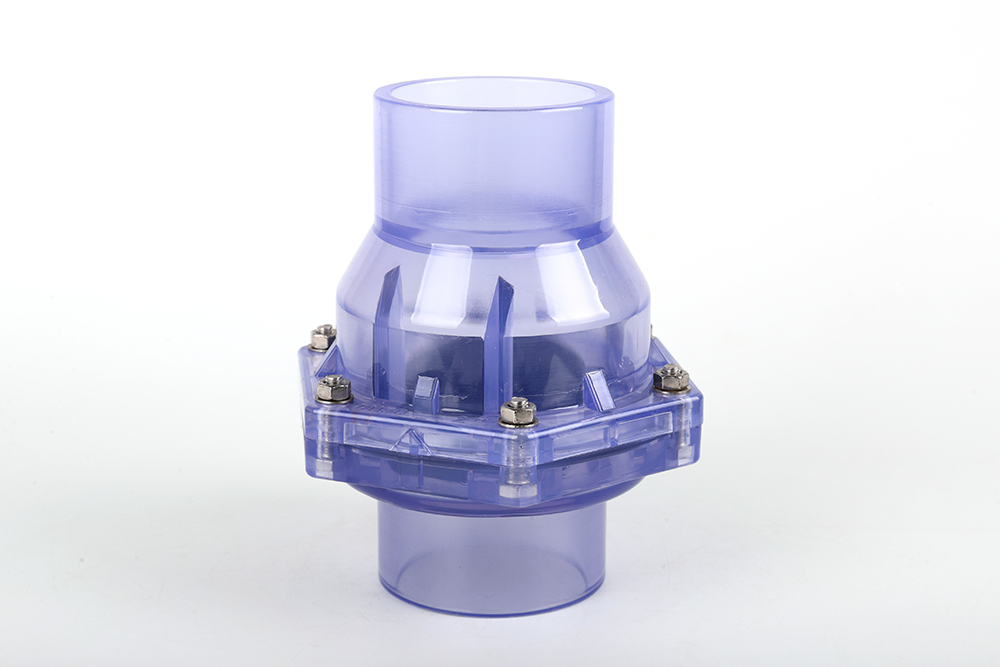 龙泉透明翻板式止回阀